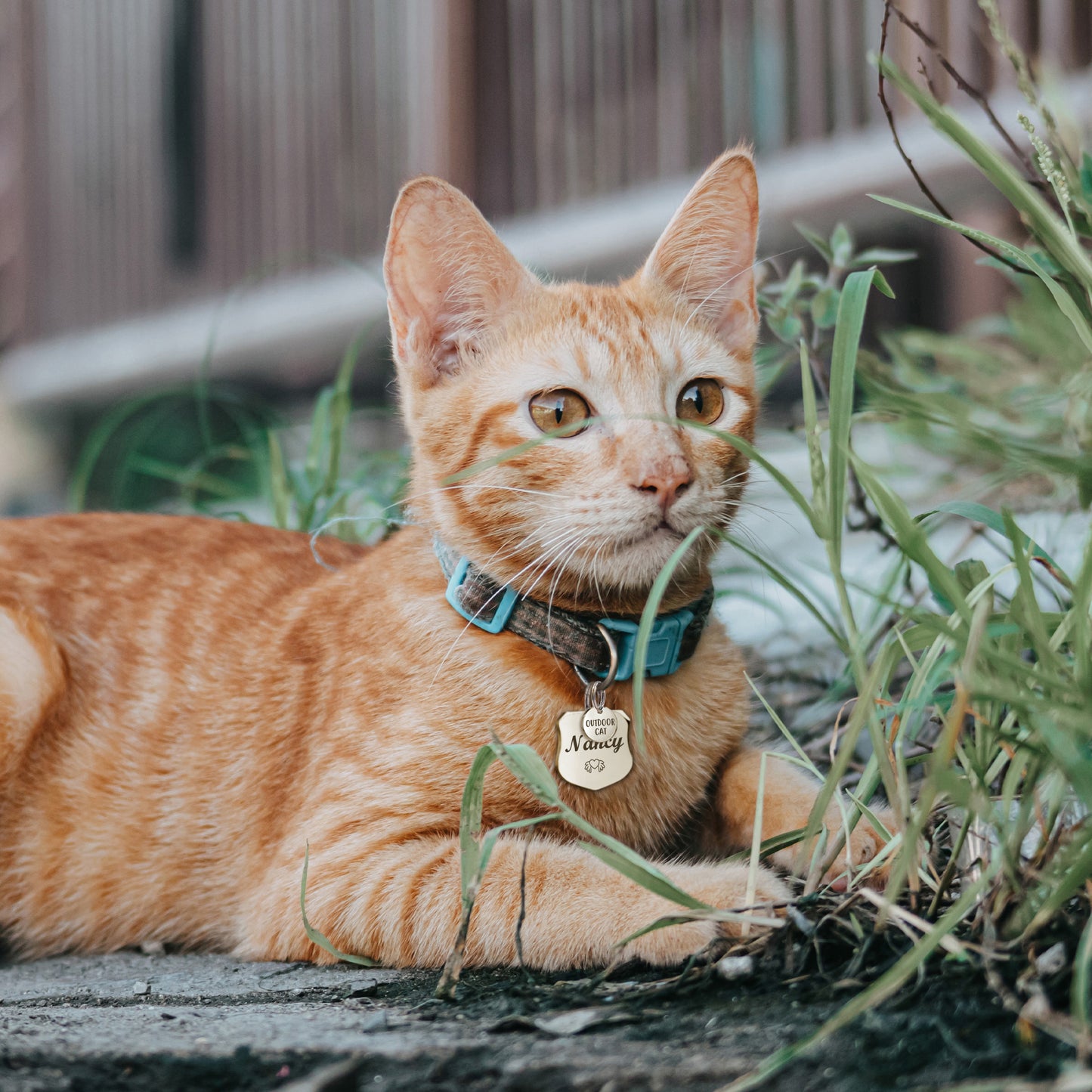 Mini Round Collar Charm