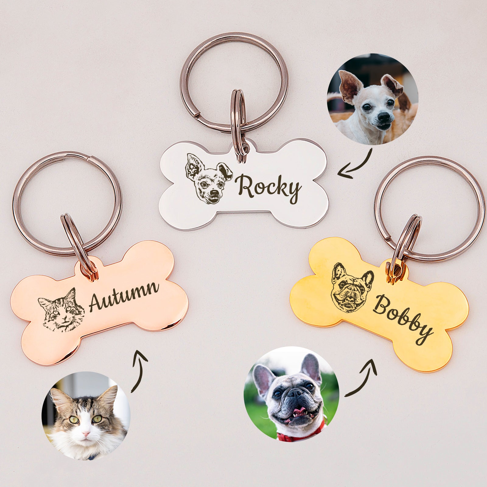 Dog collar id tags best sale