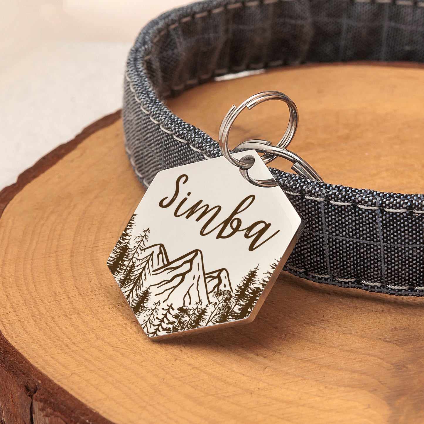 Mountain View Hexagon Pet ID Dog Tag