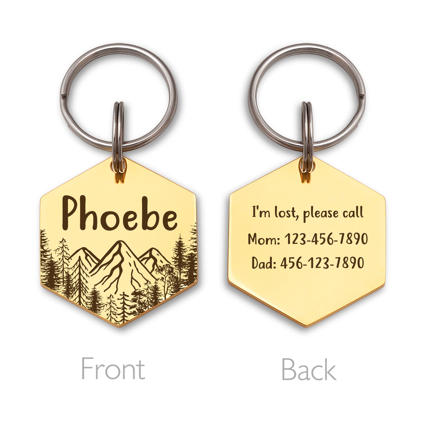 Mountain View Hexagon Pet ID Dog Tag