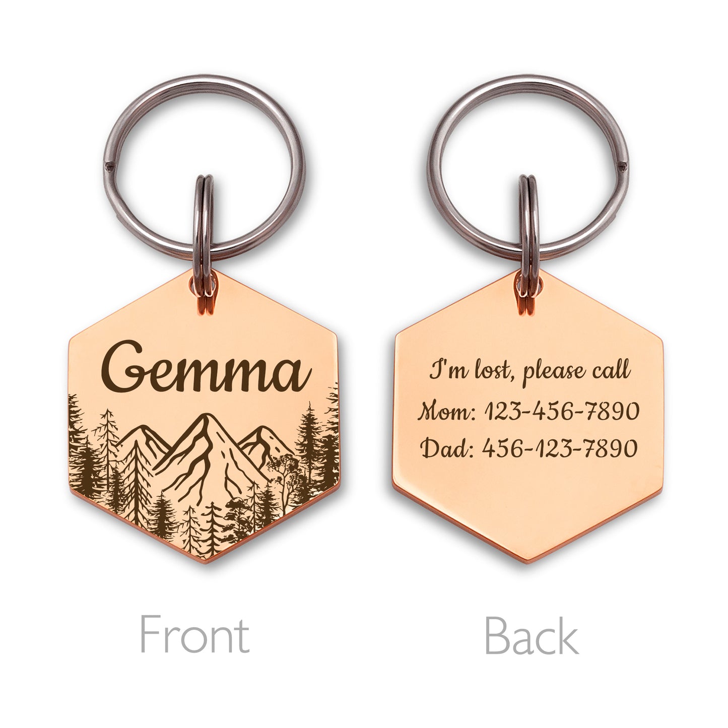 Mountain View Hexagon Pet ID Dog Tag