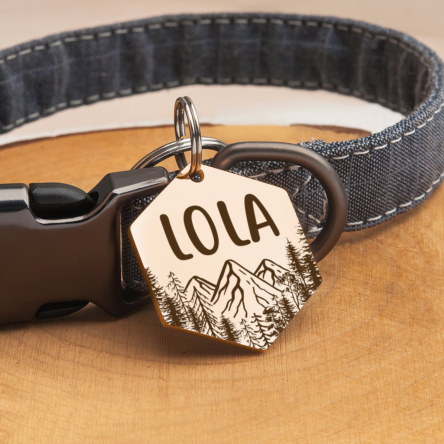 Mountain View Hexagon Pet ID Dog Tag