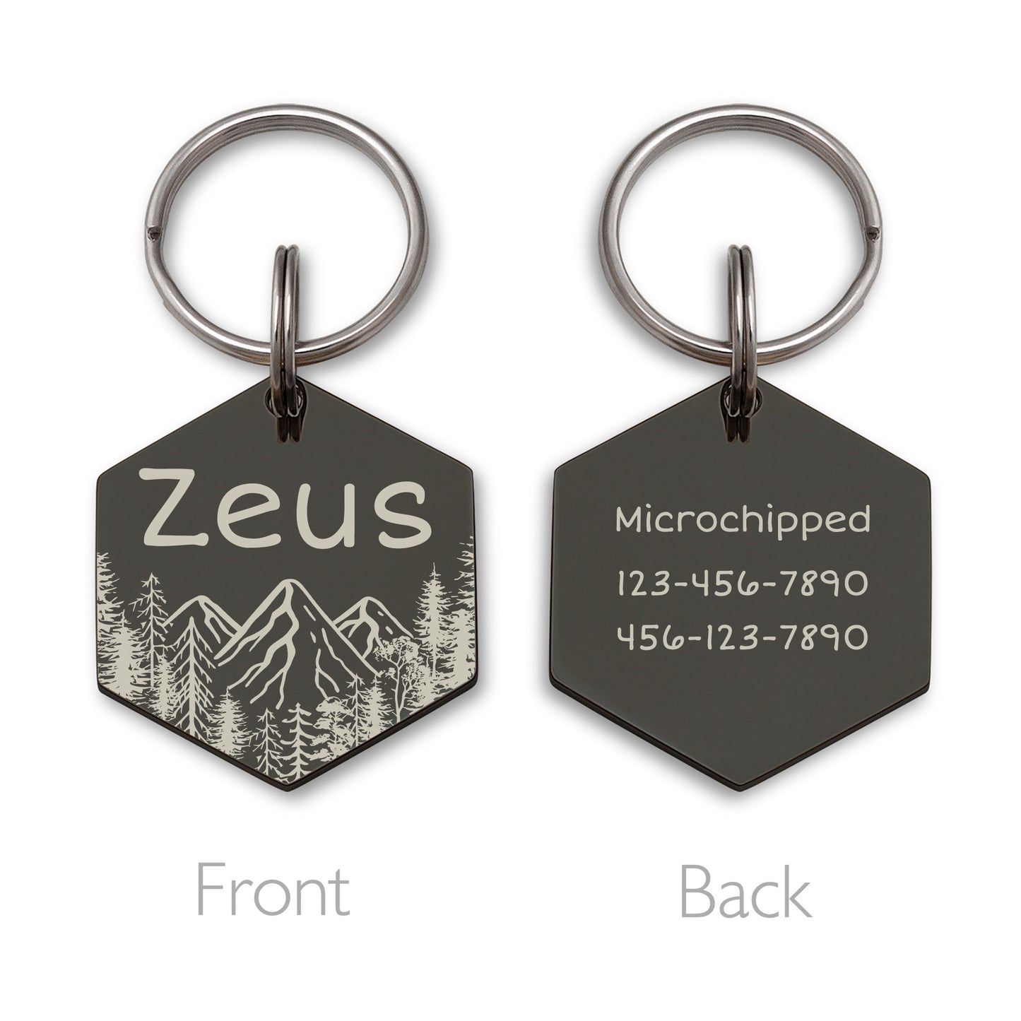 Mountain View Hexagon Pet ID Dog Tag