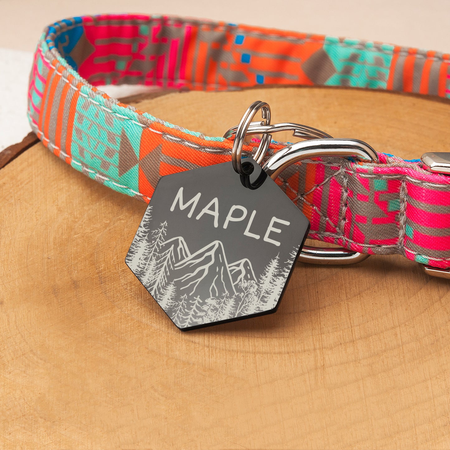 Mountain View Hexagon Pet ID Dog Tag