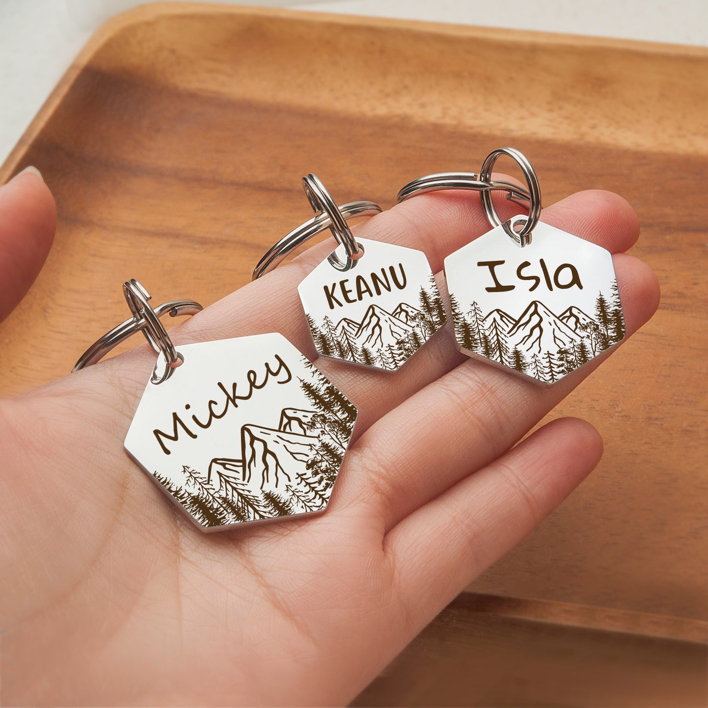 Mountain View Hexagon Pet ID Dog Tag