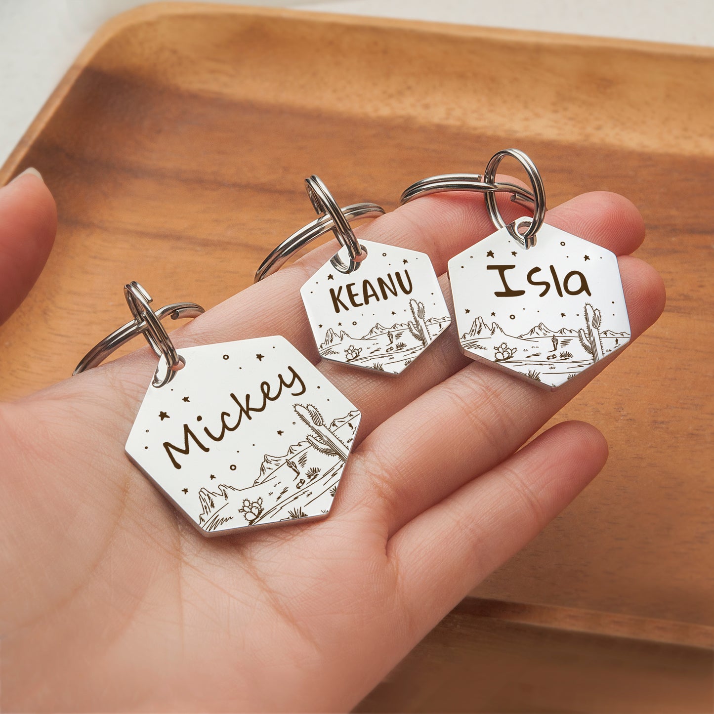 Desert Starry Sky Hexagon Pet ID Tag