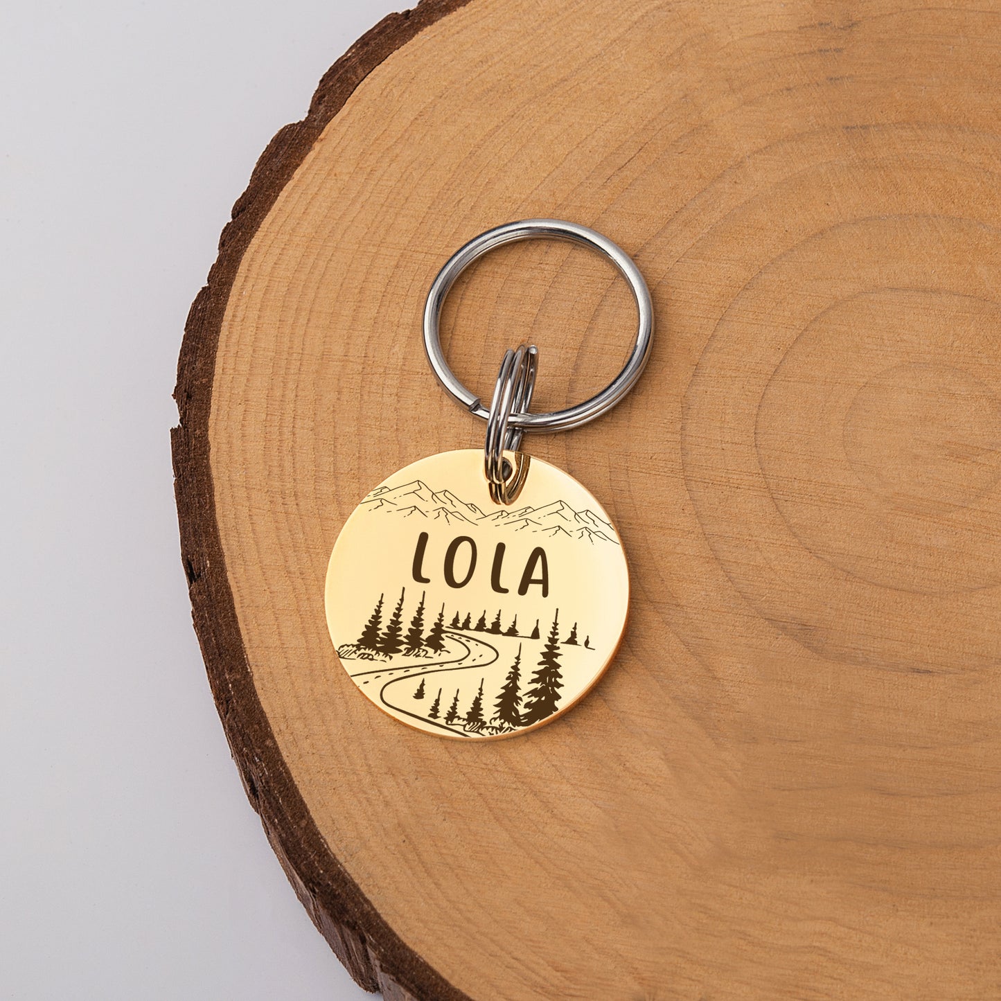 Round Mountain Road Pet ID Dog Tag