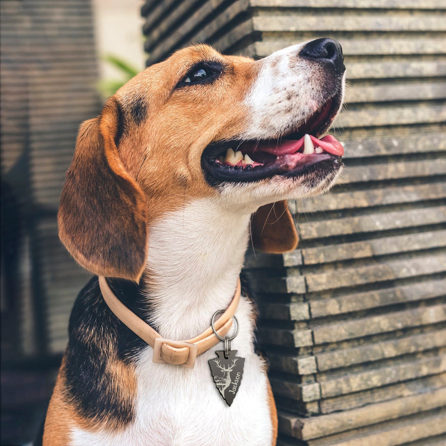 Arrowhead Deer Design Pet ID Tag