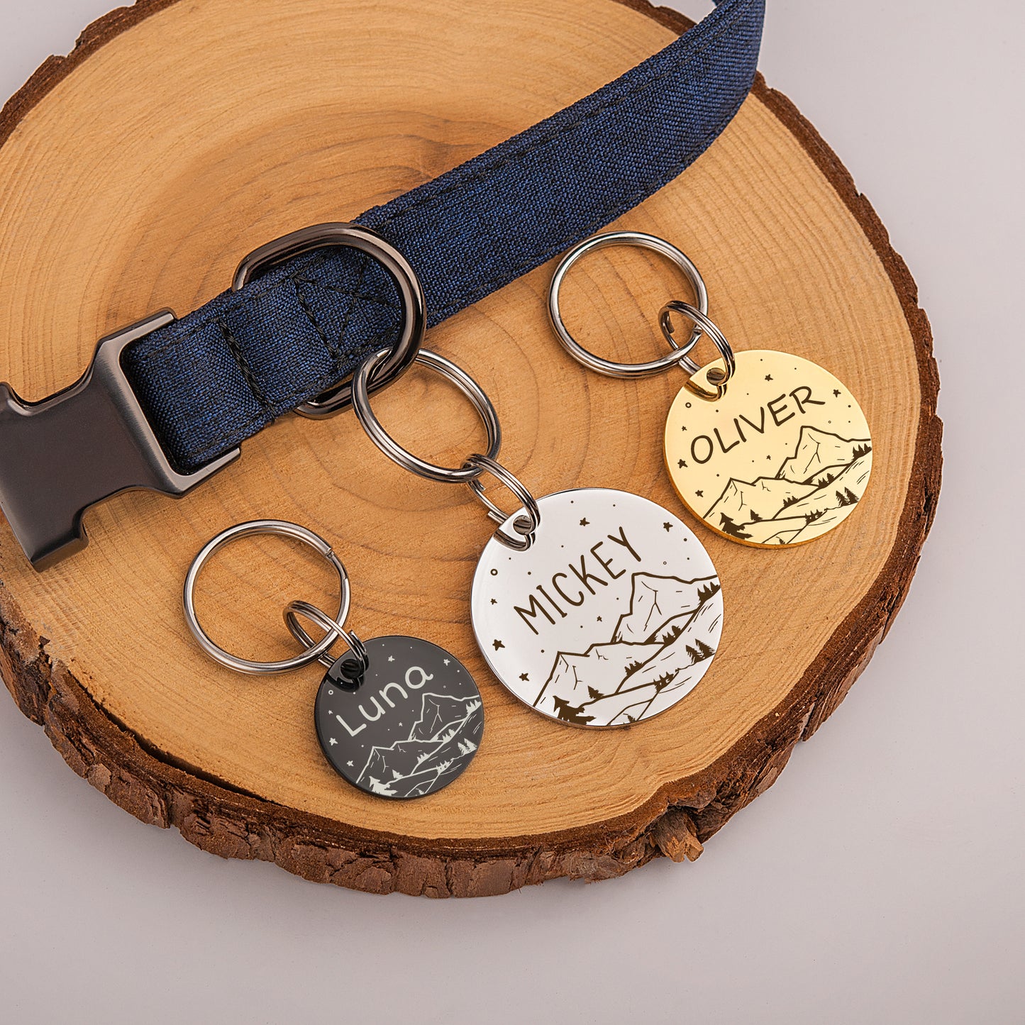 Round Mountain View Night Sky Pet ID Dog Tag