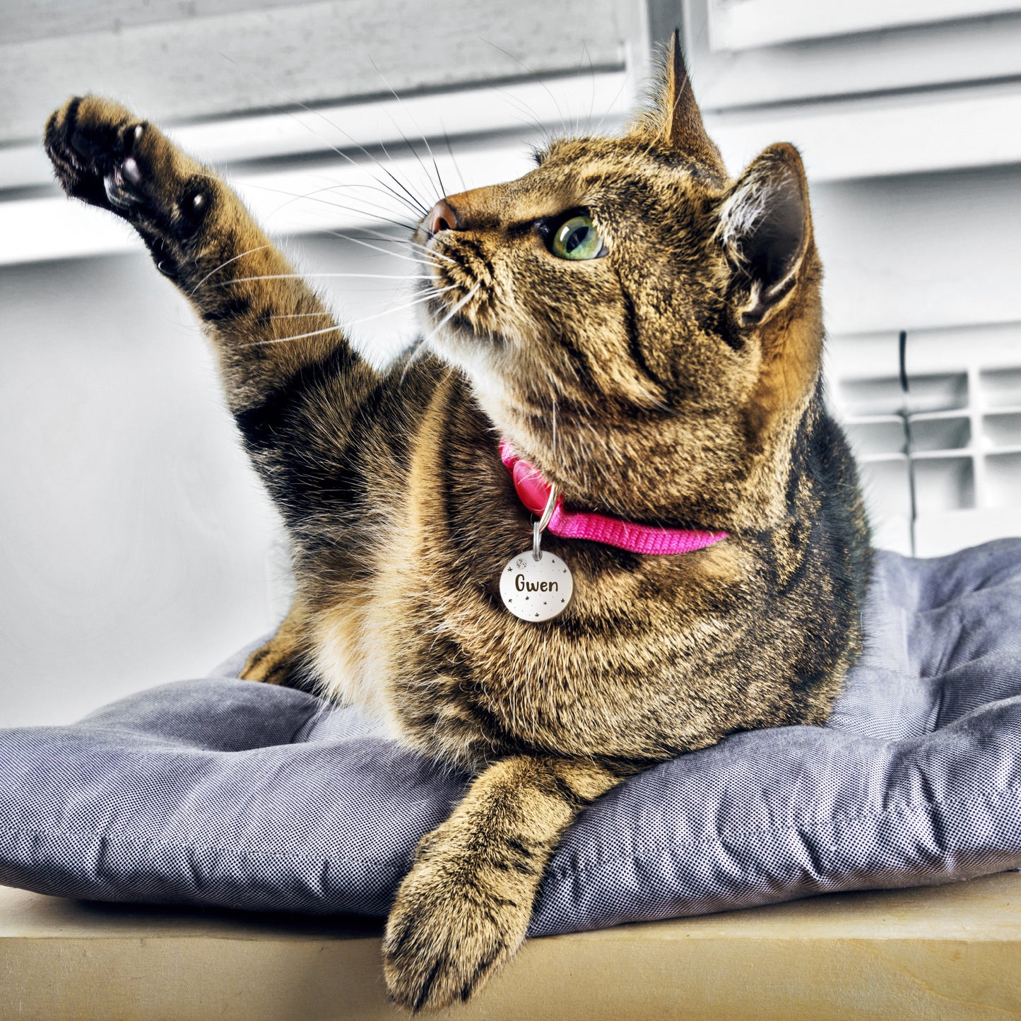 Round Space Pet ID Tag