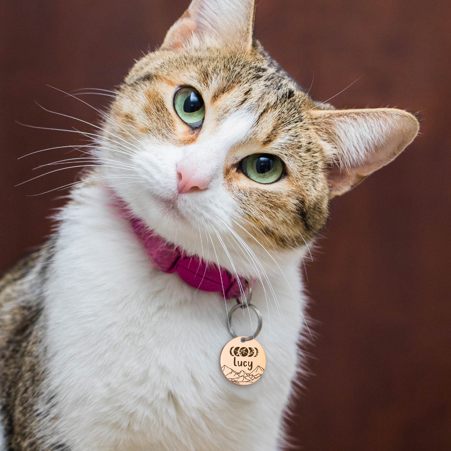 Round Moon Phase Pet ID Tag