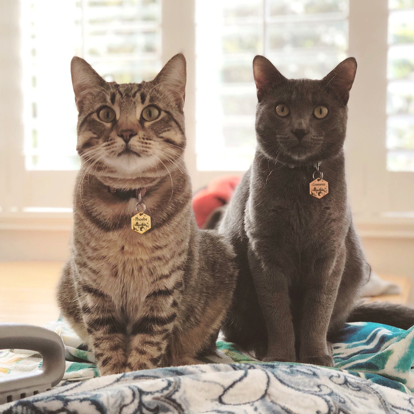 Bear and Woods Hexagon Pet ID Tag