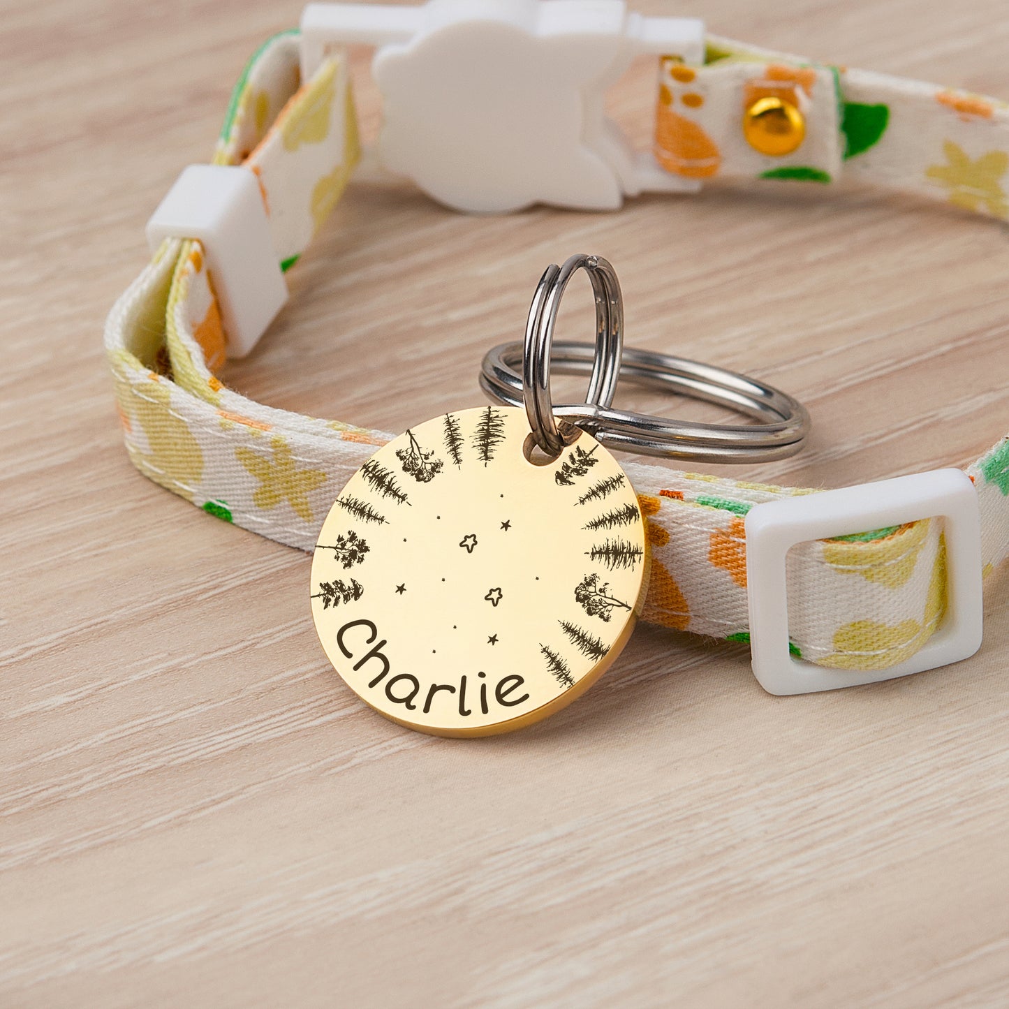 Round Stargazing Pet ID Dog Tag