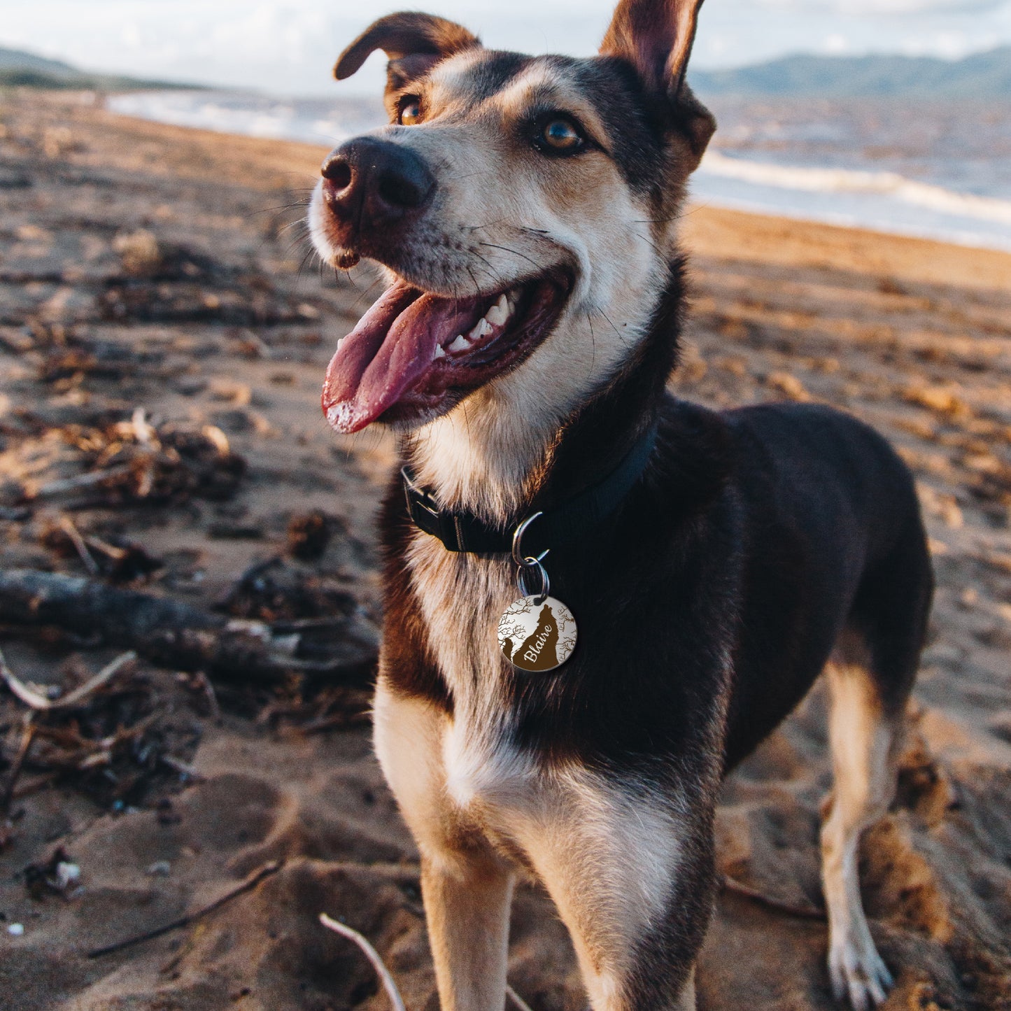 Round Howling Wolf Design Pet ID Tag