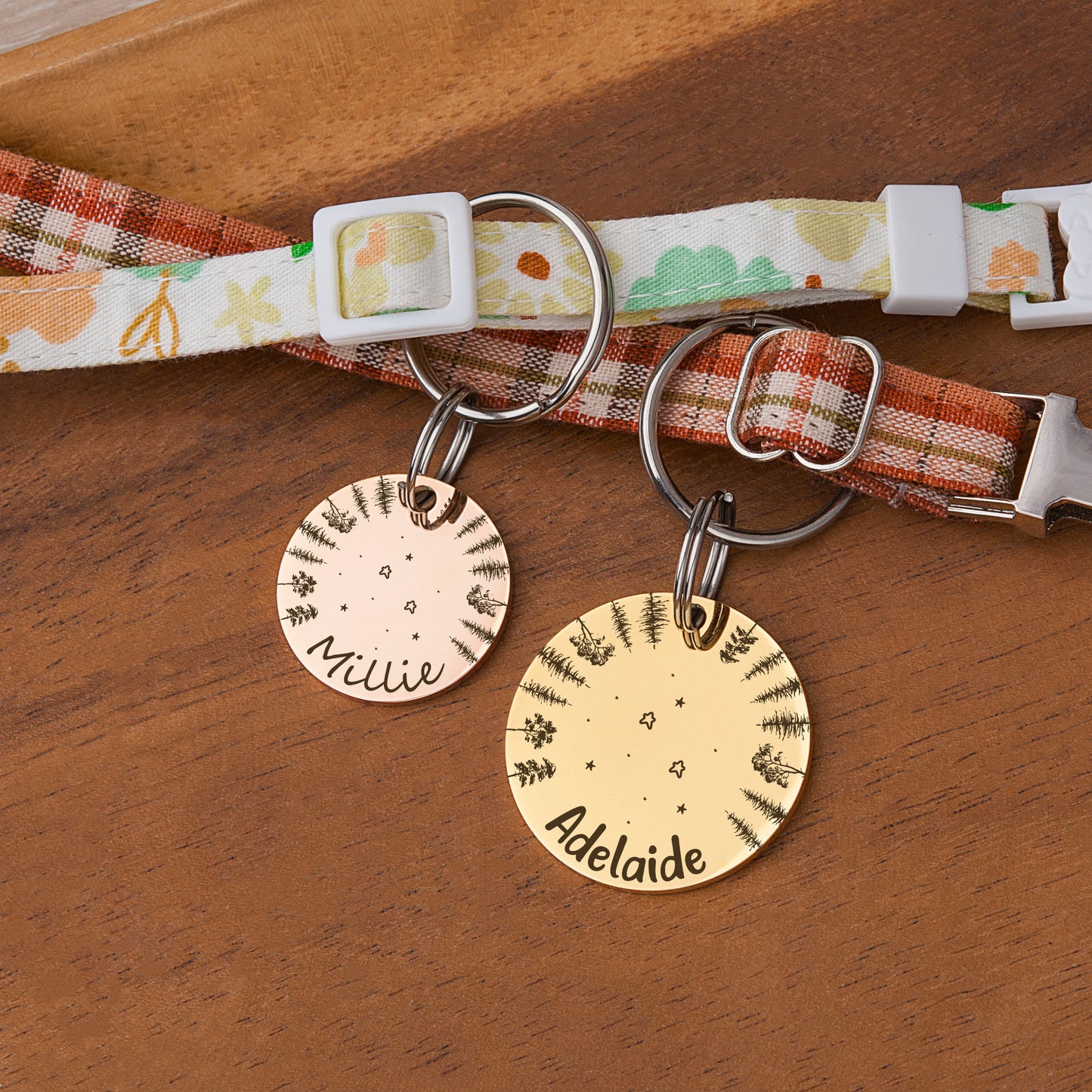 Round Stargazing Pet ID Dog Tag