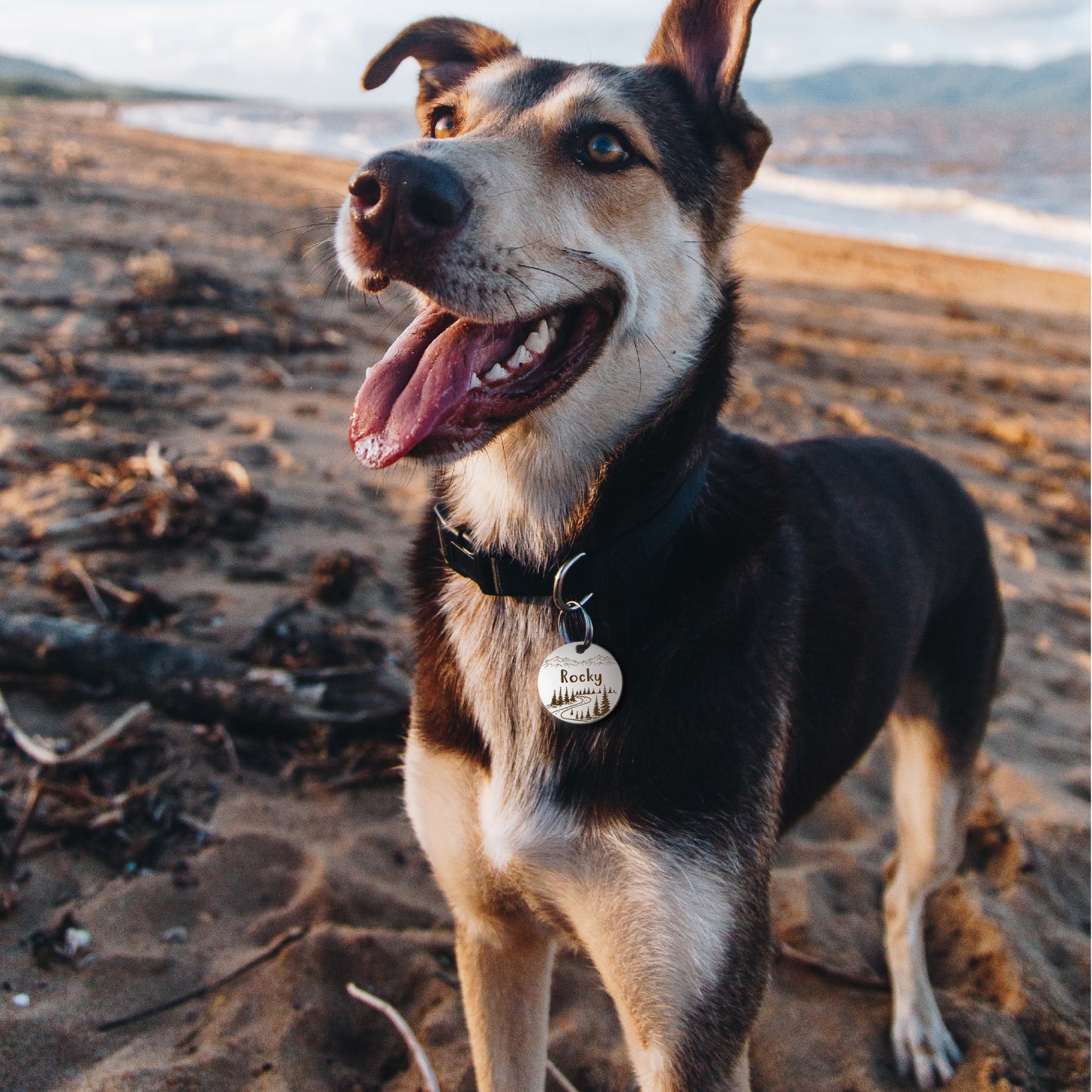 Round Mountain Road Pet ID Dog Tag