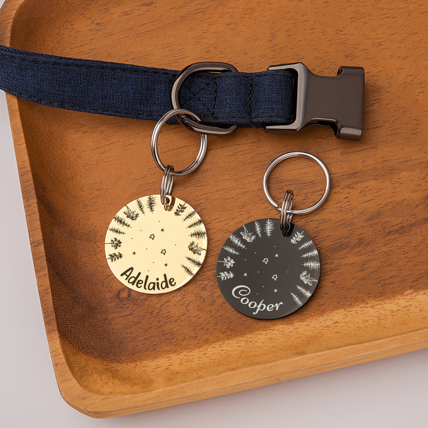 Round Stargazing Pet ID Dog Tag
