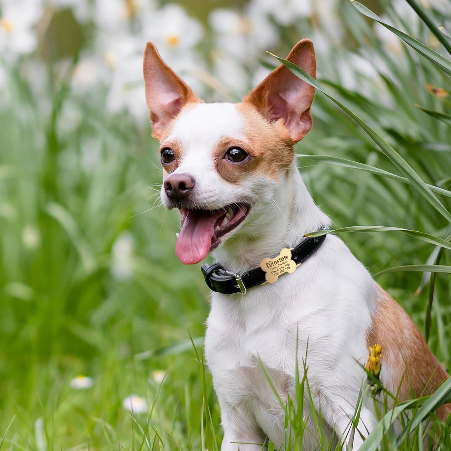 Dog Bone Stainless Steel Slide-On Pet ID Tag