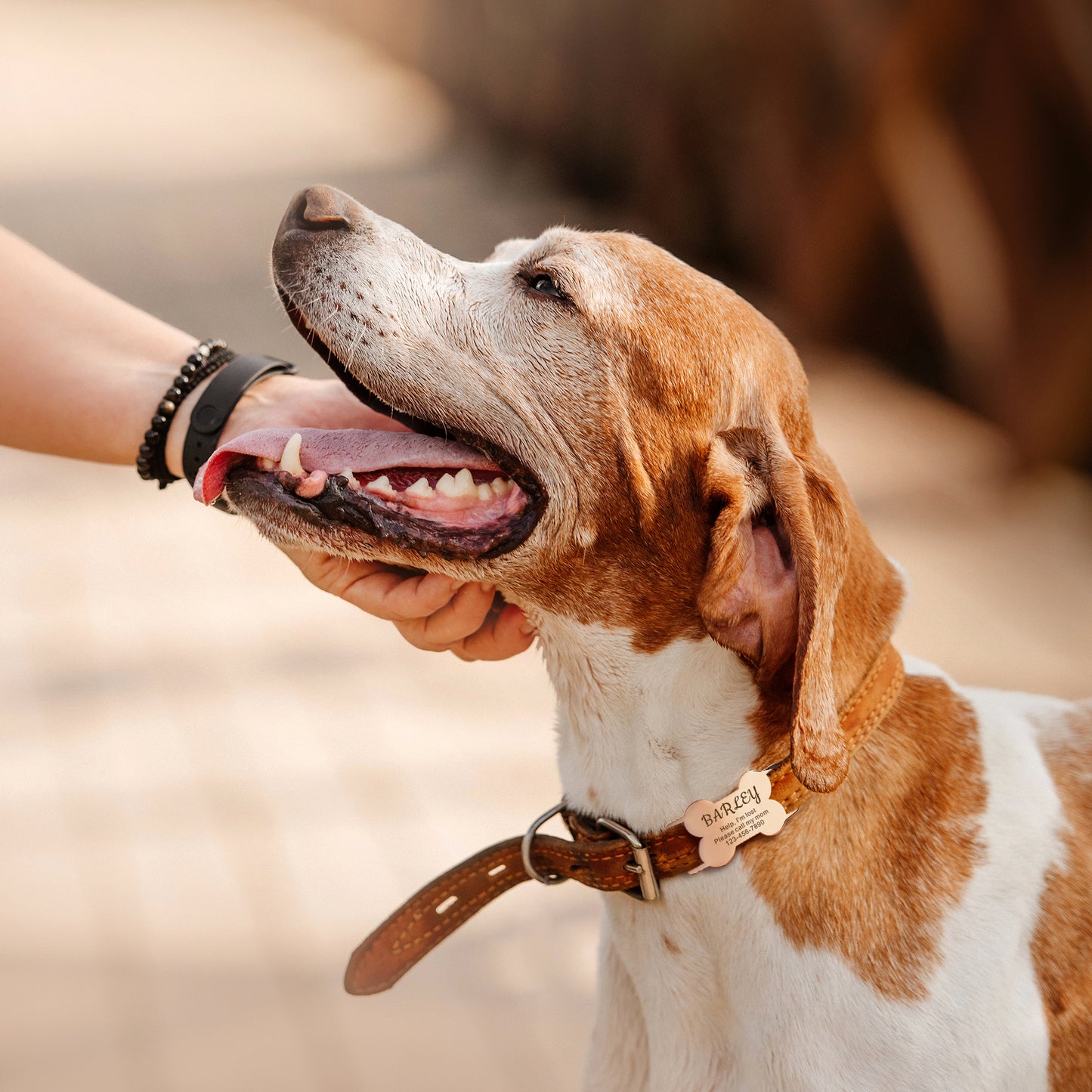 Dog Bone Stainless Steel Slide-On Pet ID Tag