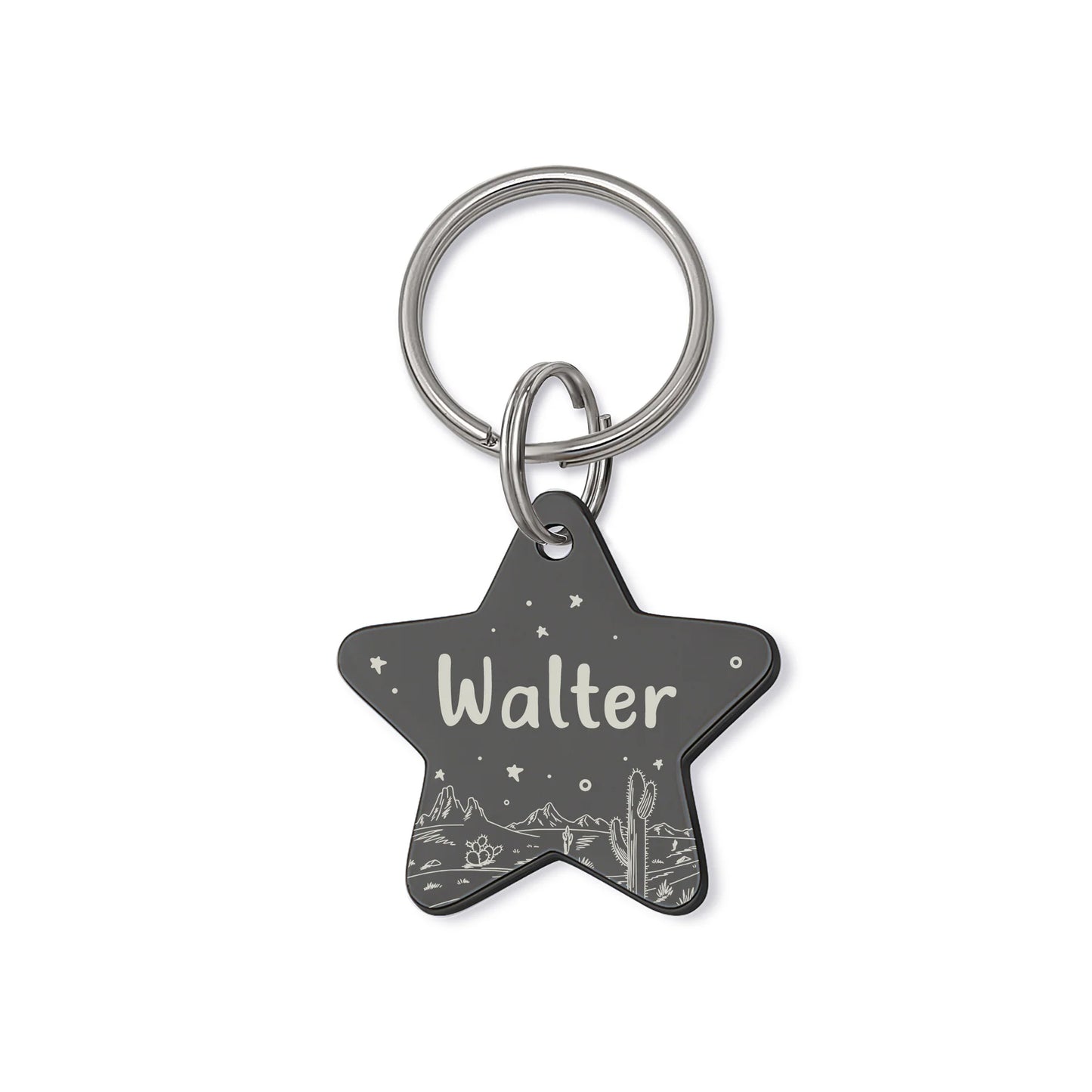 Star Desert Night Sky Pet ID Dog Tag