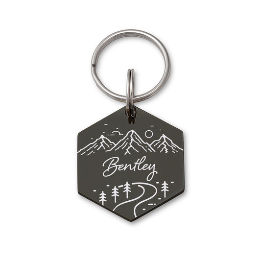 Mountain Road Hexagon Pet ID Dog Tag