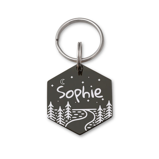 Horizon Line Road Hexagon Pet ID Dog Tag