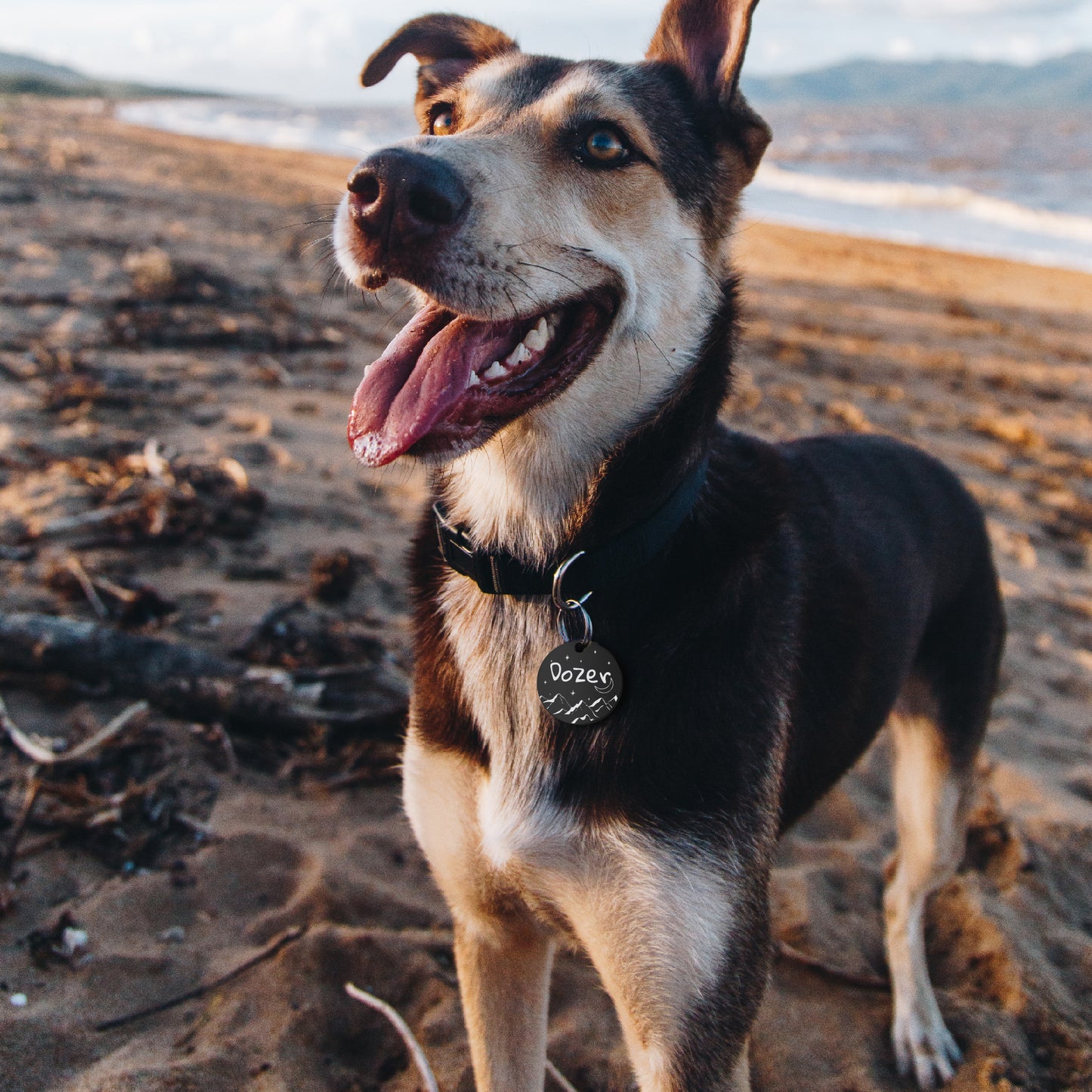 Mountains and Moon Round Pet ID Dog Tag