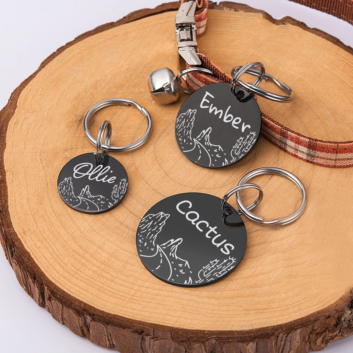 Round Rocky Road Cactus Pet ID Dog Tag