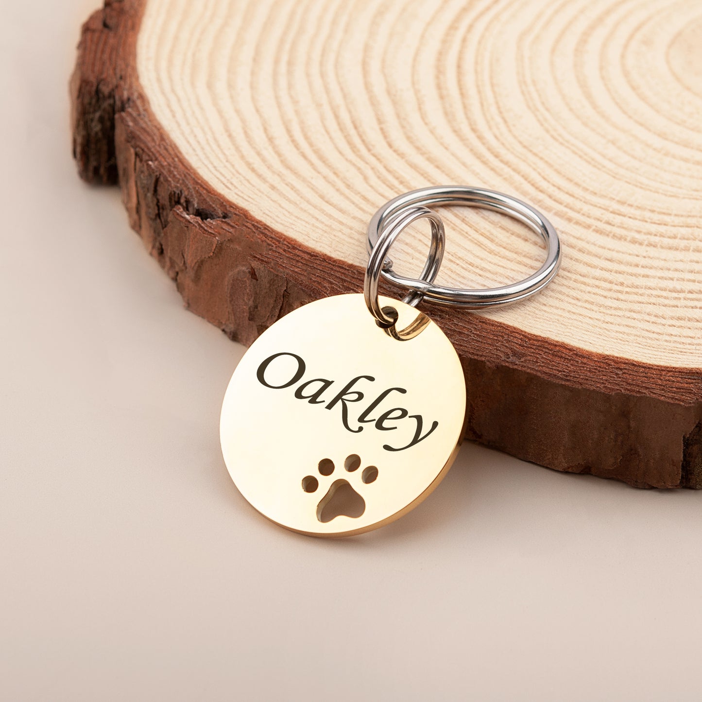 Paw Print Cut Out Round Pet Tag