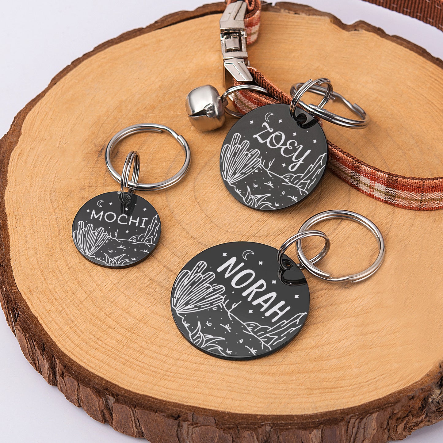 Round Desert Cactus Collar Pet ID Dog Tag