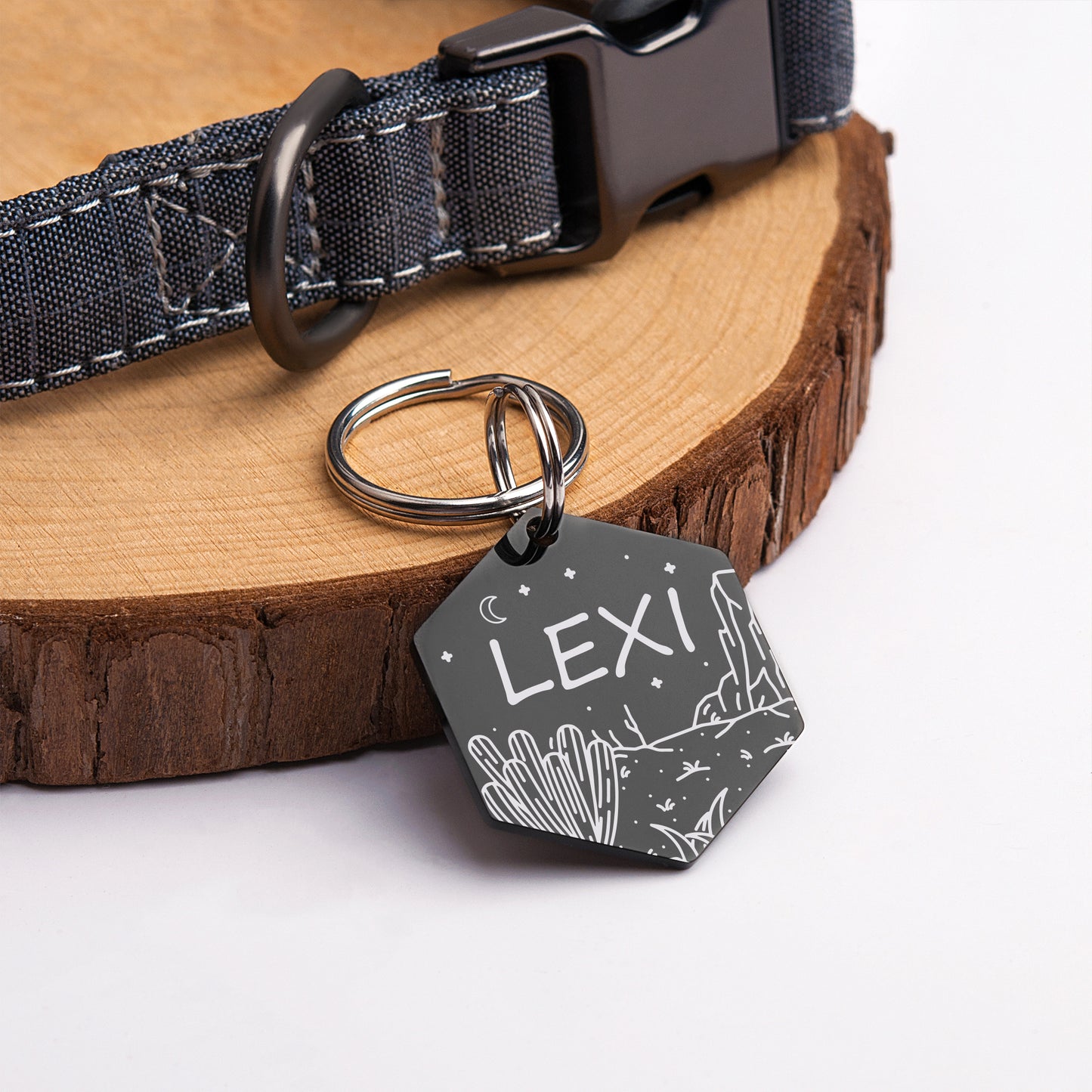 Hexagon Desert Cactus Collar Pet ID Dog Tag