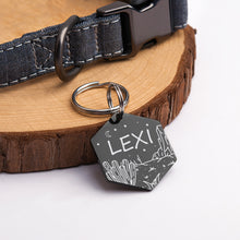 Load image into Gallery viewer, Personalized Desert Cactus Hexagon Shaped Pet ID Dog Tag for Cat or Dog
