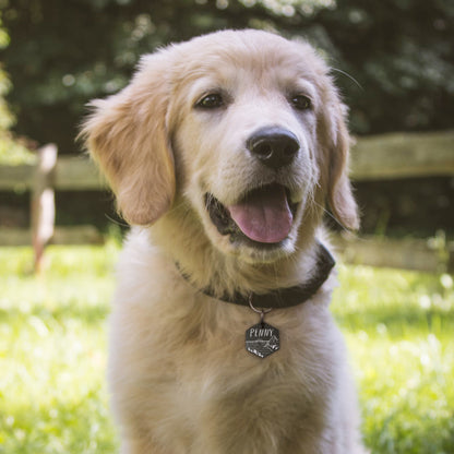 Hexagon Sunset by the Bay Pet ID Dog Tag