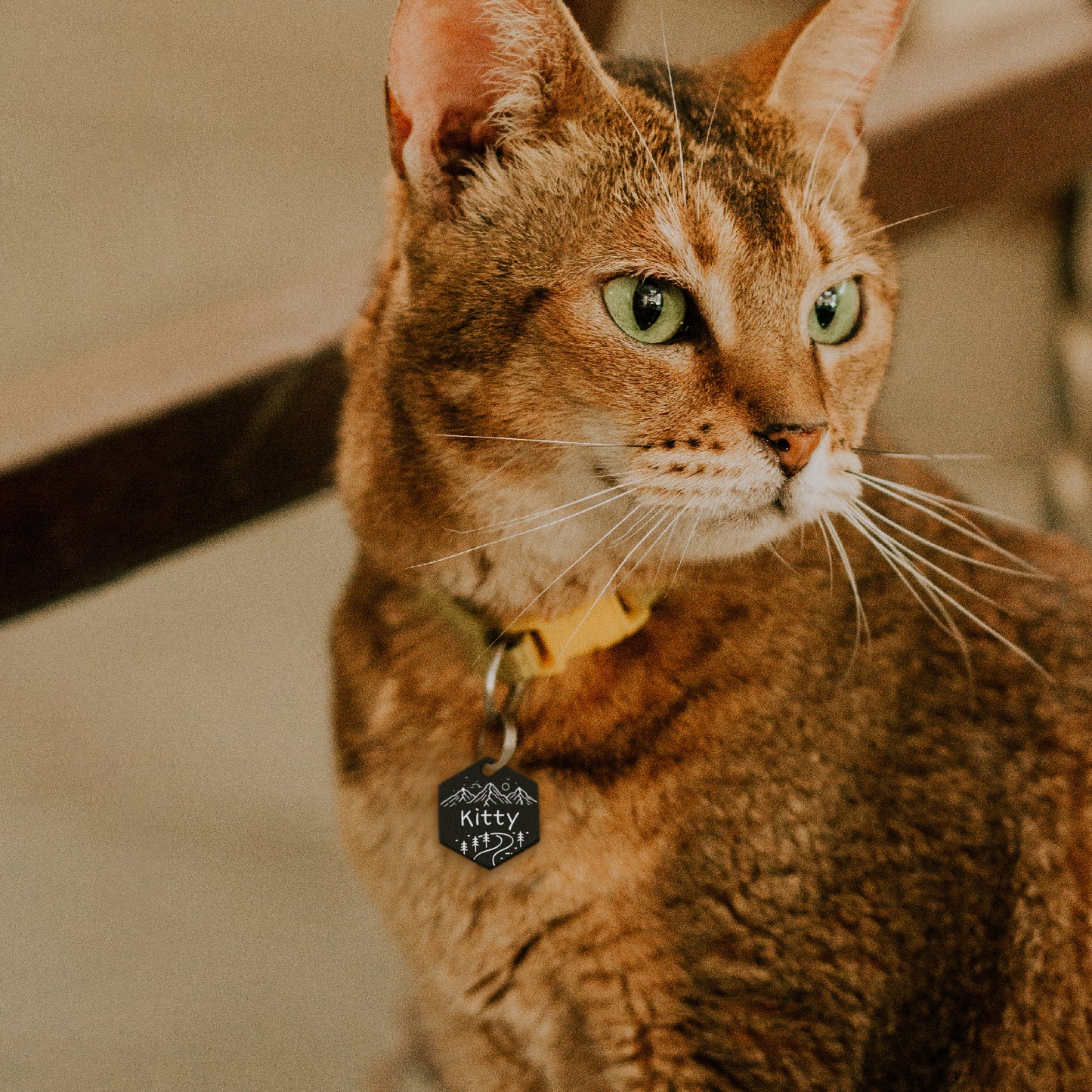 Mountain Road Hexagon Pet ID Dog Tag