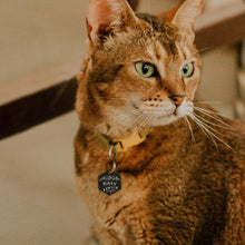 Load image into Gallery viewer, Personalized Mountain Road Hexagon Shaped Pet ID Dog Tag for Cat or Dog
