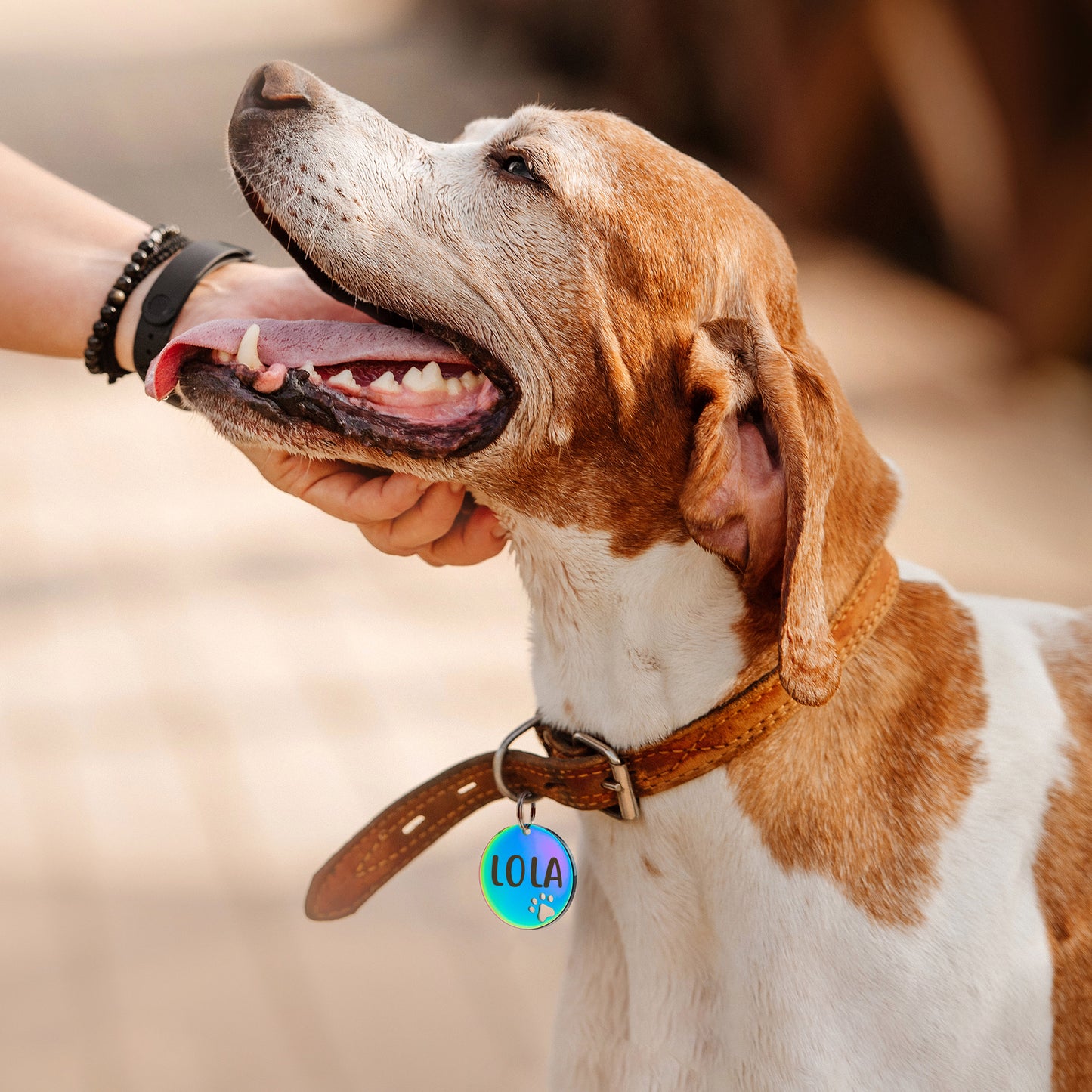 Paw Print Cut Out Round Pet Tag