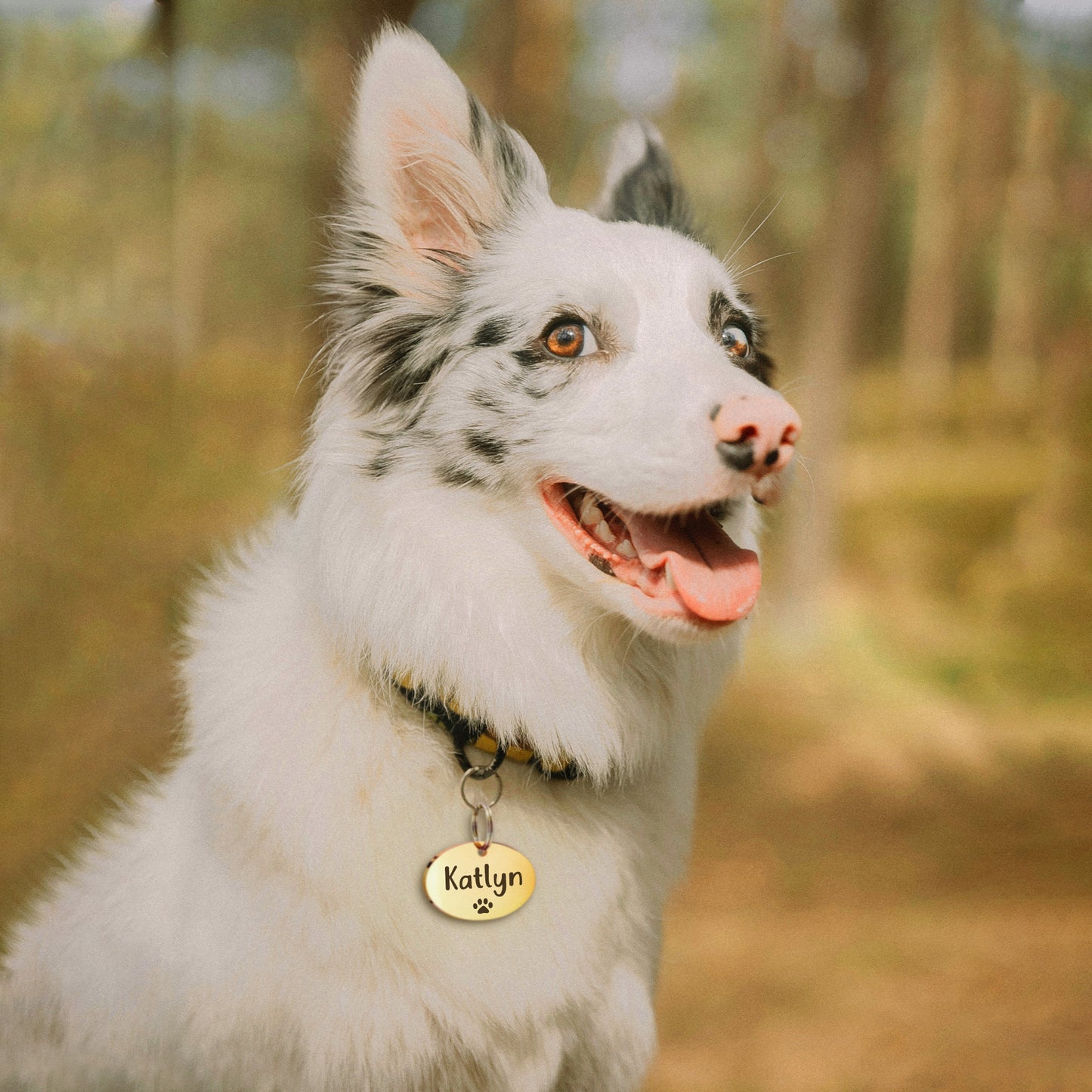 Oval Name and Icon Shaped Pet Tag