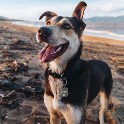 Shield Shaped Pet ID Tag