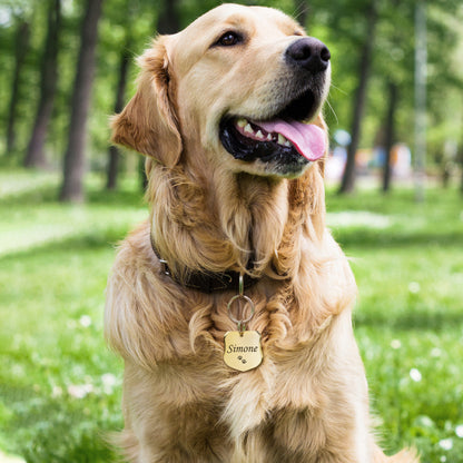 Shield Shaped Pet ID Tag