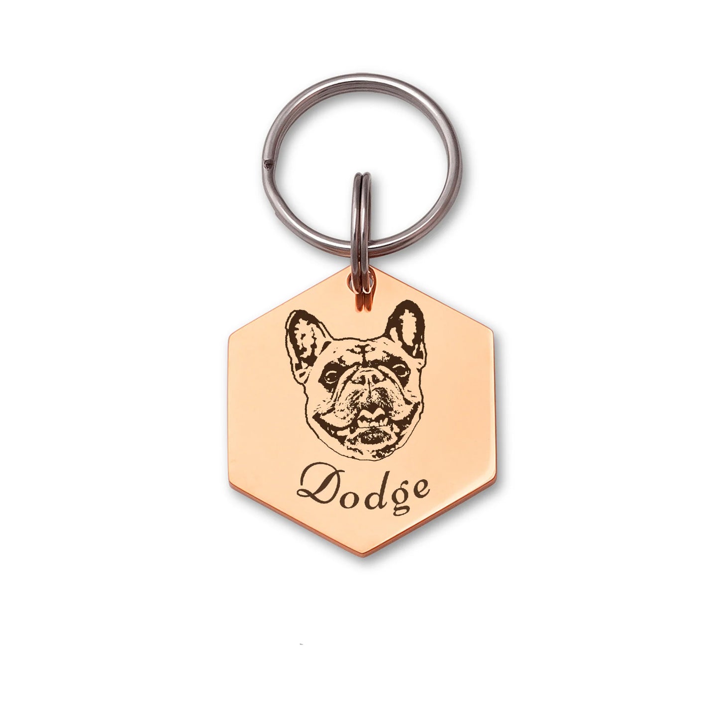Pet Portrait Hexagon Pet ID Dog Tag