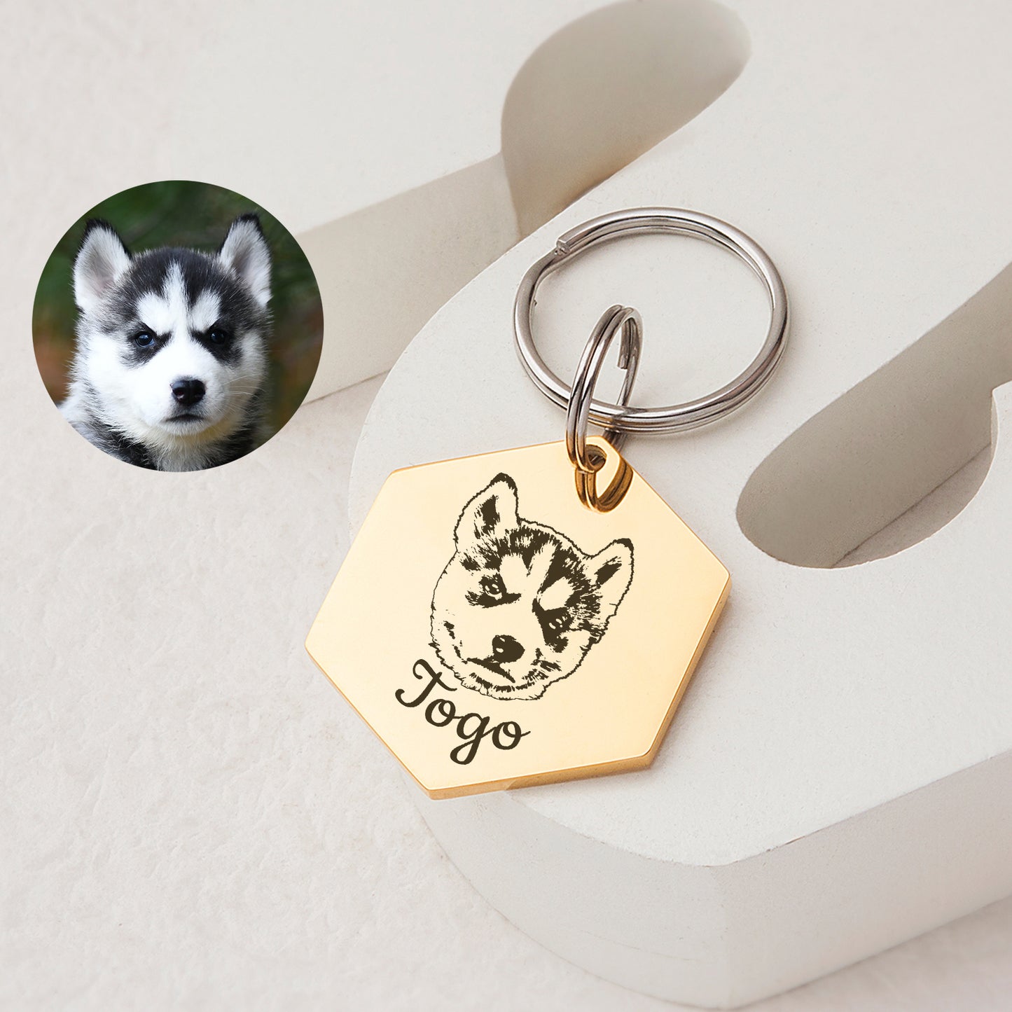 Pet Portriat Hexagon Pet ID Dog Tag