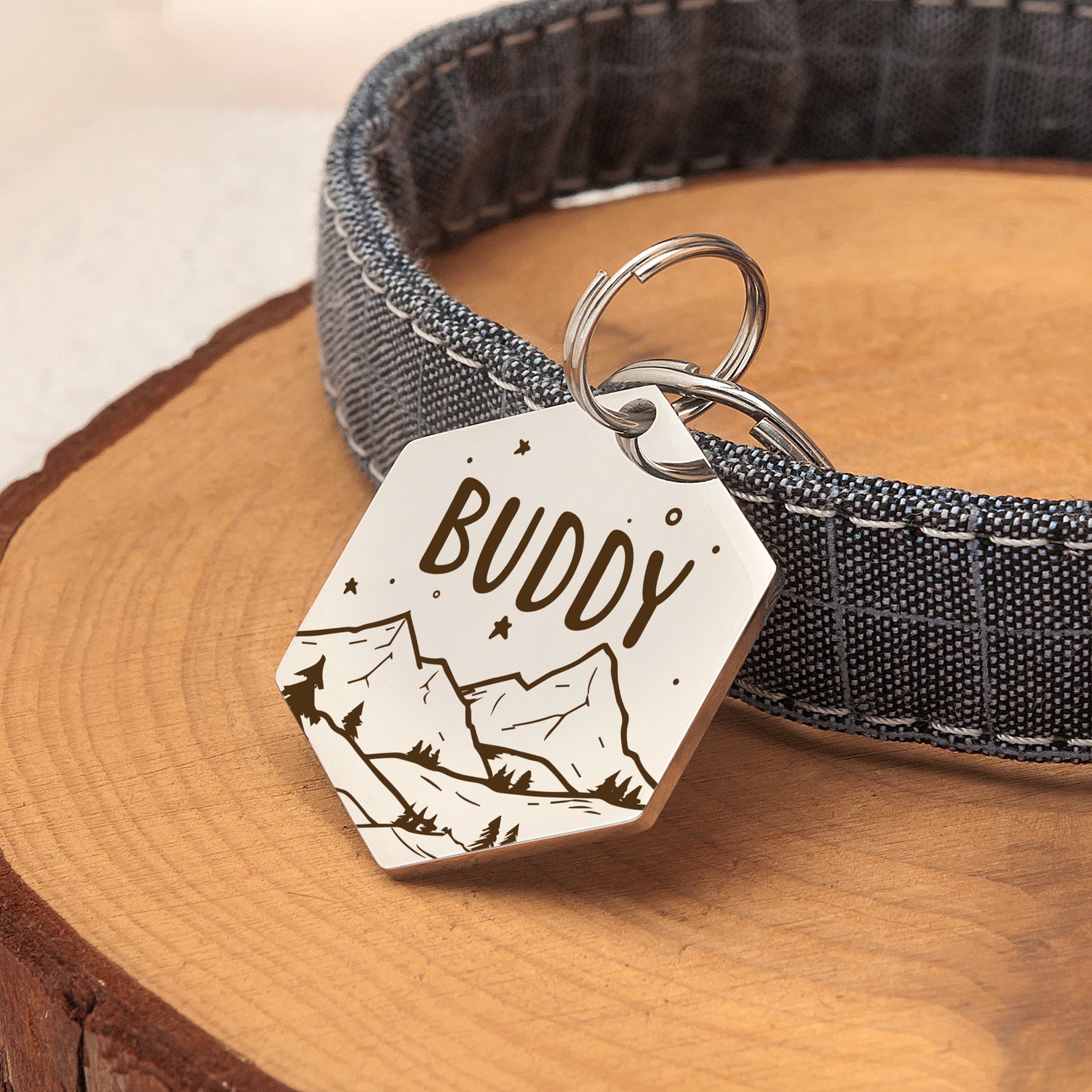 Mountain and Stary Sky Hexagon Pet ID Dog Tag