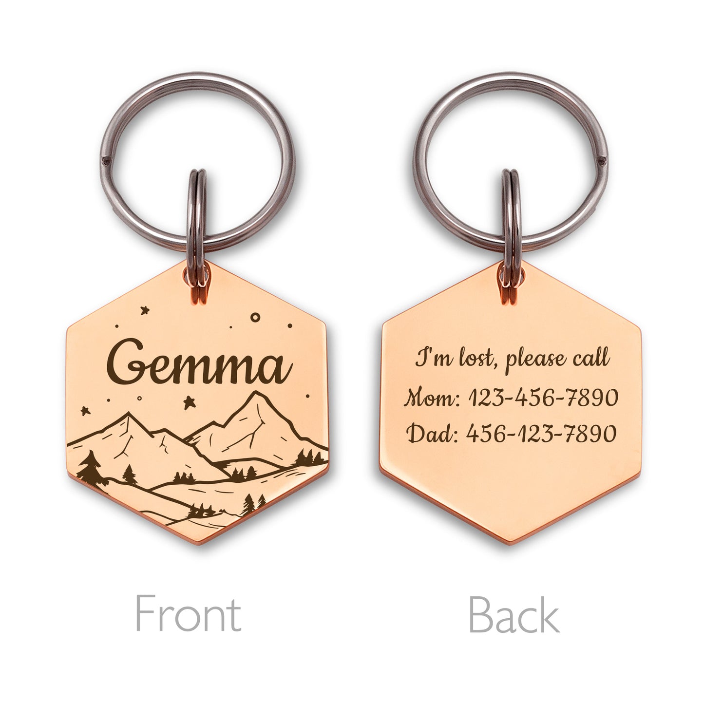 Mountain and Stary Sky Hexagon Pet ID Dog Tag