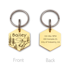 Load image into Gallery viewer, Custom Hexagon Sunrise Pet Tag, Dog/Cat Tags
