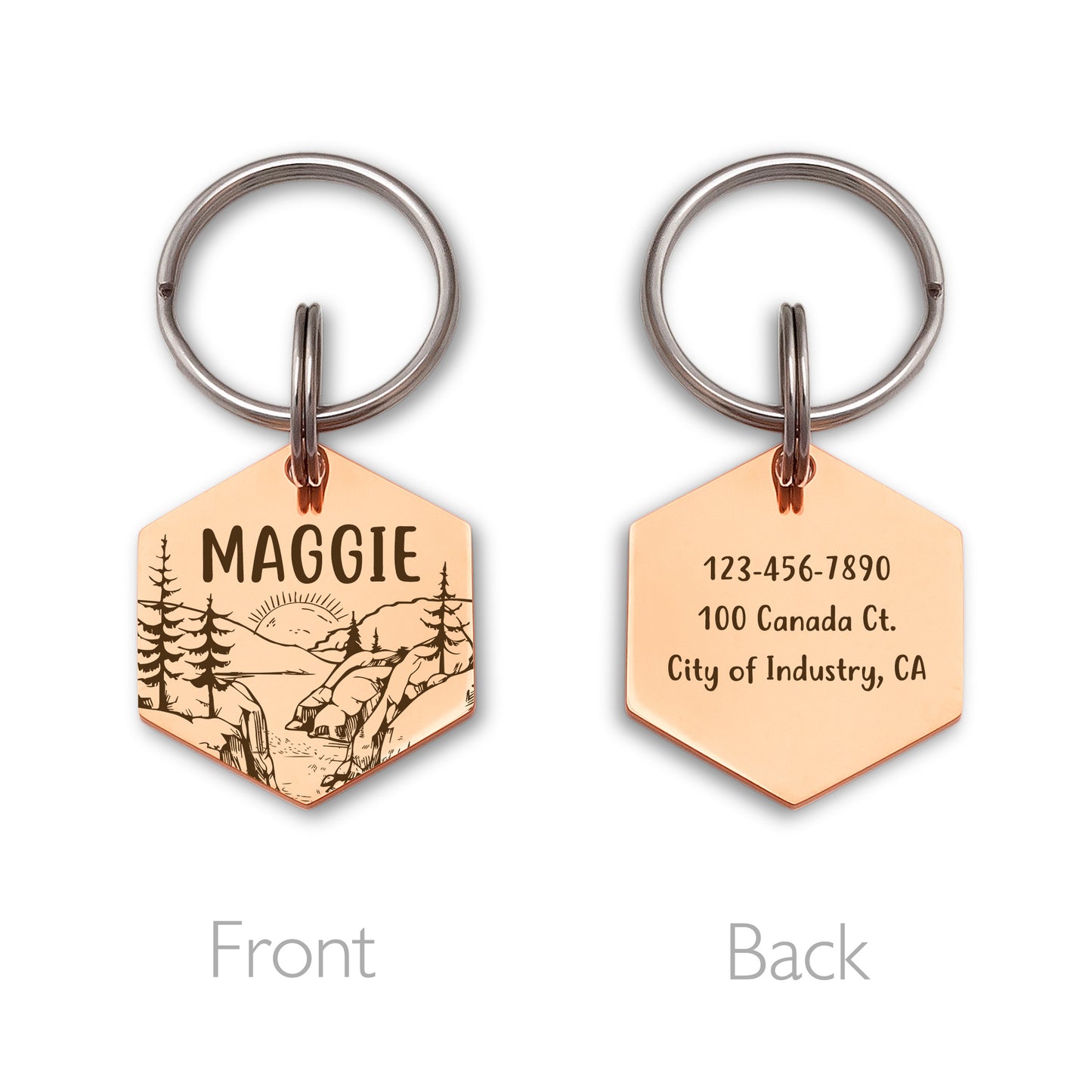 Sunrise Hexagon Pet Tag