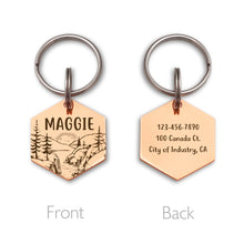 Load image into Gallery viewer, Custom Hexagon Sunrise Pet Tag, Dog/Cat Tags
