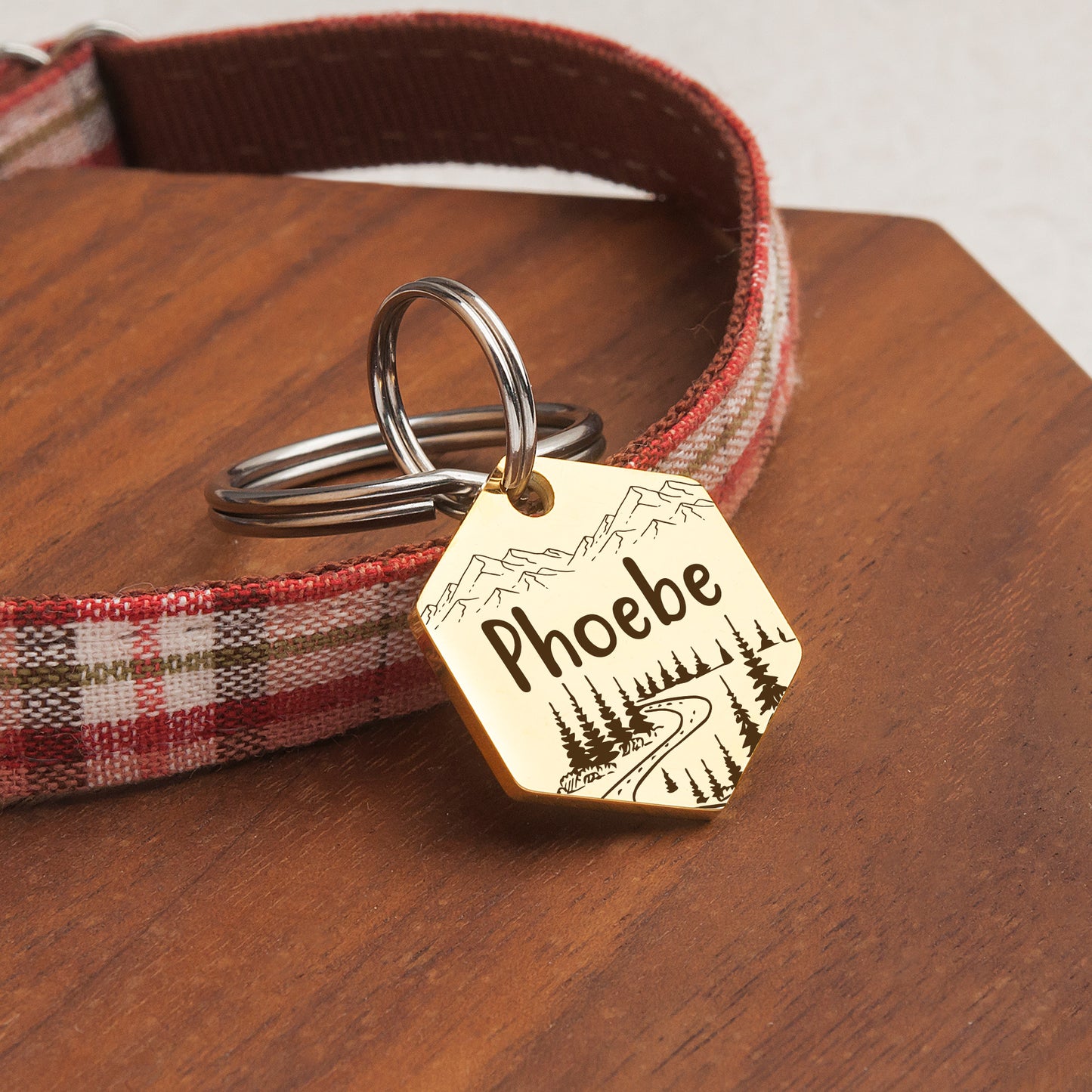 Shaped Mountain Road Hexagon Pet ID Dog Tag