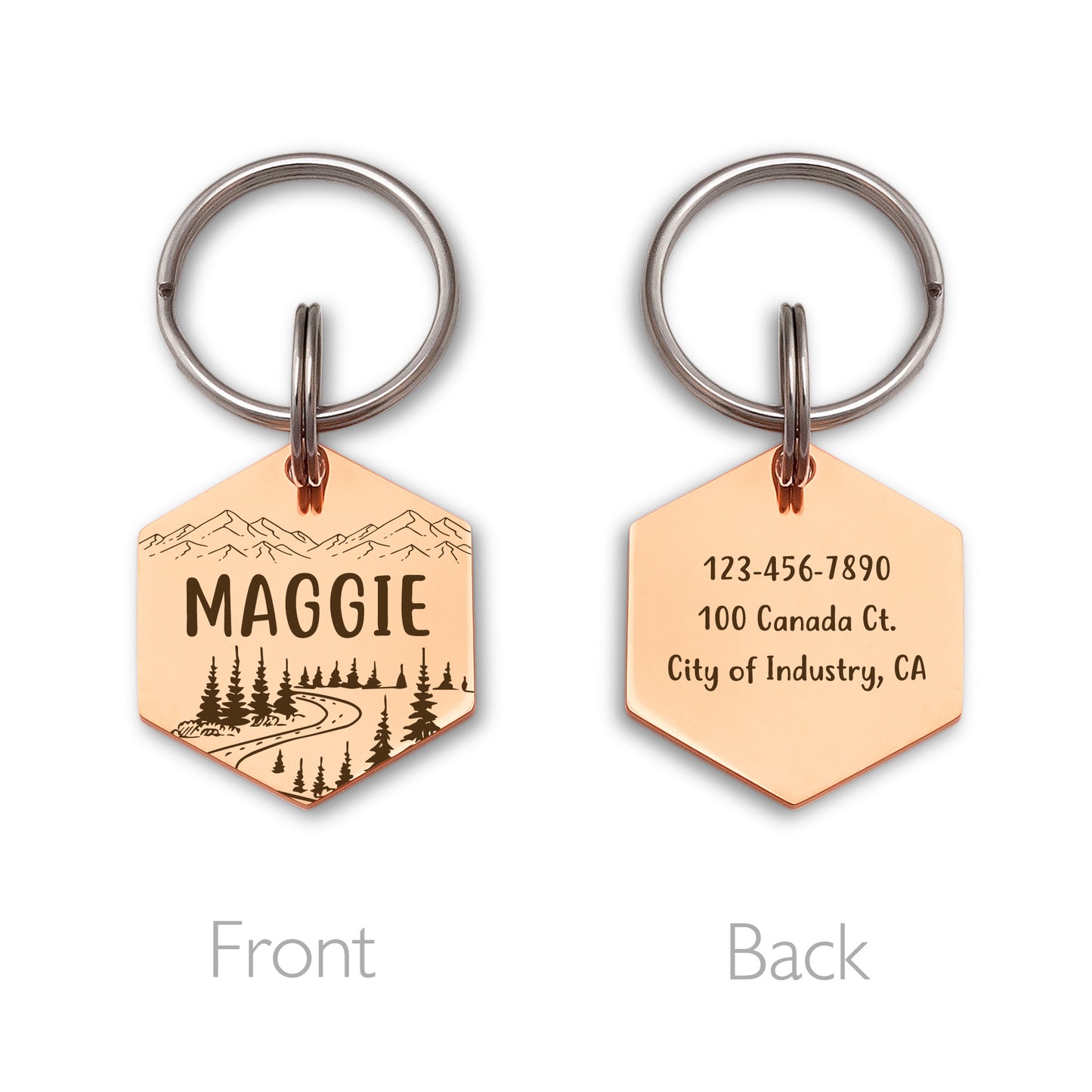 Shaped Mountain Road Hexagon Pet ID Dog Tag