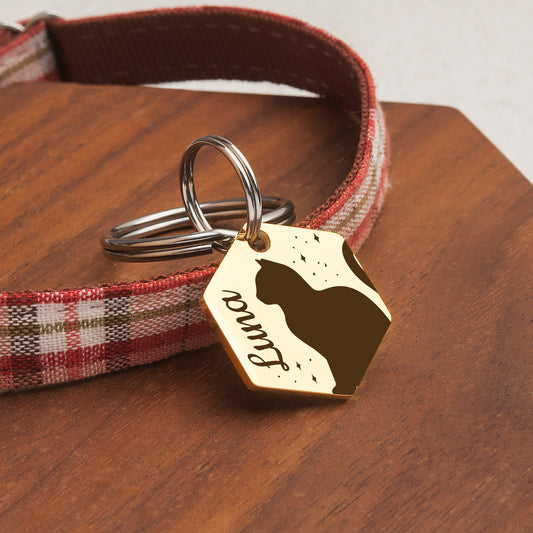 Cat Outline Hexagon Pet ID Tag