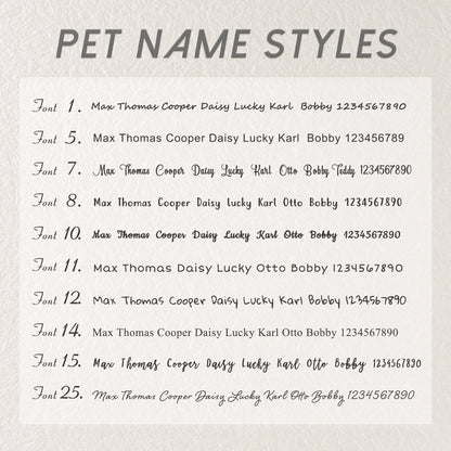 Moon Phase Hexagon Pet ID Dog Tag